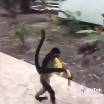 Peruanos 😤😤😤😤🤬🤬🤬