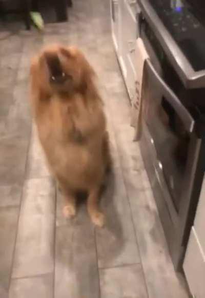 This level of betrayal has never been felt before