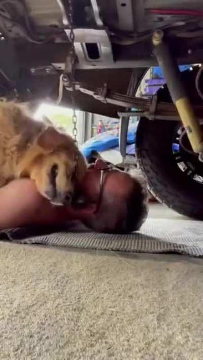 Dad's who don't want dogs and dogs have unbreakable bonds.