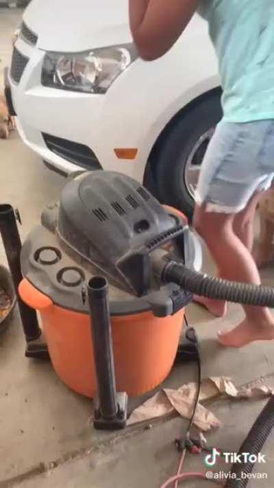 My Dad’s Favorite Tiktoks: pt 2