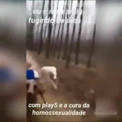 Hue hue zua o pessoal do luba nunca perde a graça