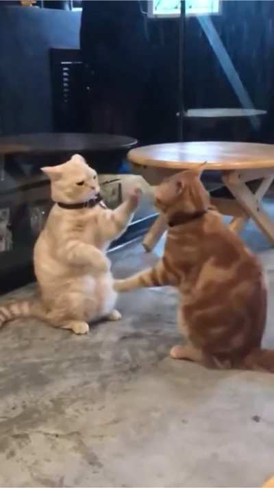 What kind of game are they playing?