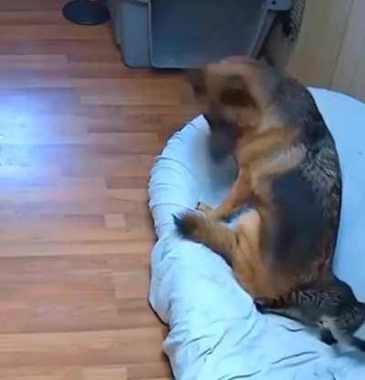 A brutal assassination attempt caught on camera