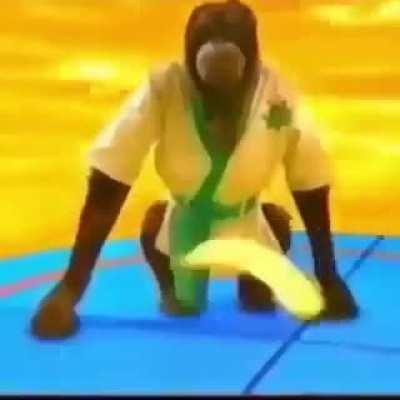 monke martial arts