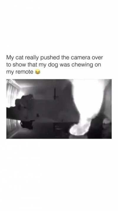 Is there any need to be this bad? 