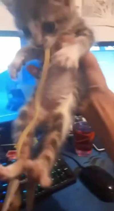 Mission Accomplished