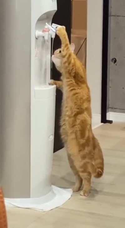 Look how Genius it become.