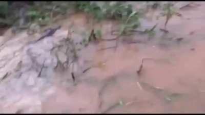 Imagine if the boat tipped over...