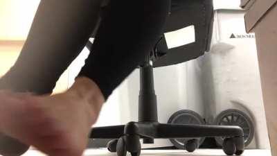 Time for you to get back under my desk