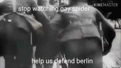 Stop watching haram spider