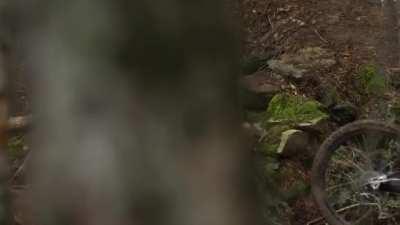 Talitha Luke-Eardley