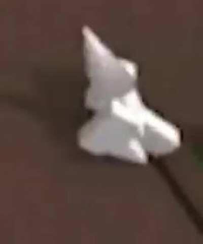 How the f did this happen