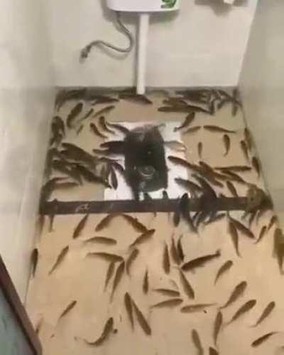 Apandah - Video #3629