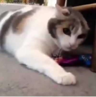 When you just got your titty skittles and have been a little emotional in the adjustment period so you parents threaten to take them away as punishment.