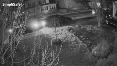 Happy Saint Paddy’s Day!