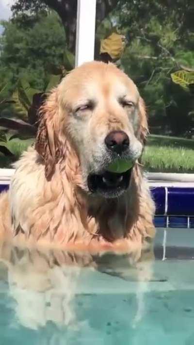 Lazy day at the pool.