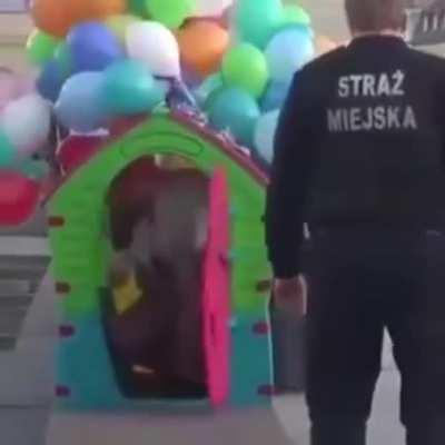 Up netflix adaptation