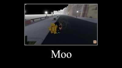 moo