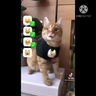 نينتندو سوني دوجي ميمي جودة منخفضة😱😱