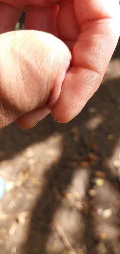 A little extra never did any harm