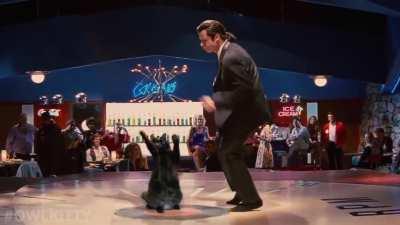 Pulp Fiction with a Cat