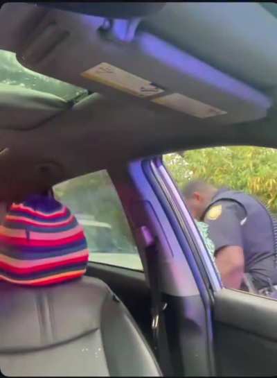 Sucker Punch and Smashed Windows Over Headlights: Violent Traffic Stop in Falcon Heights, Minnesota by St. Anthony Police Against Black Man