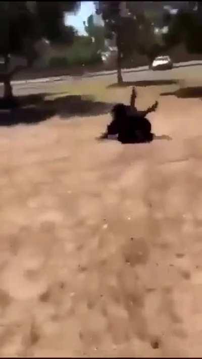 Seniors fight after school