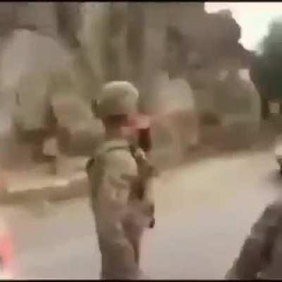 guys stop with this furry/anti-furry stuff and get some ice cream