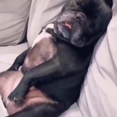 I am created for love not work