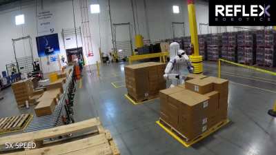 Truck -> Stretch by Boston Dynamics -> Conveyor -> Reflex -> Pallet