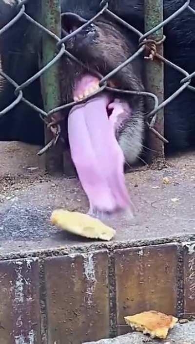 So close I can taste it