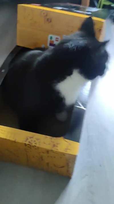 I bought a new Tuxedo Cat Lego set, but it came pre-assembled??