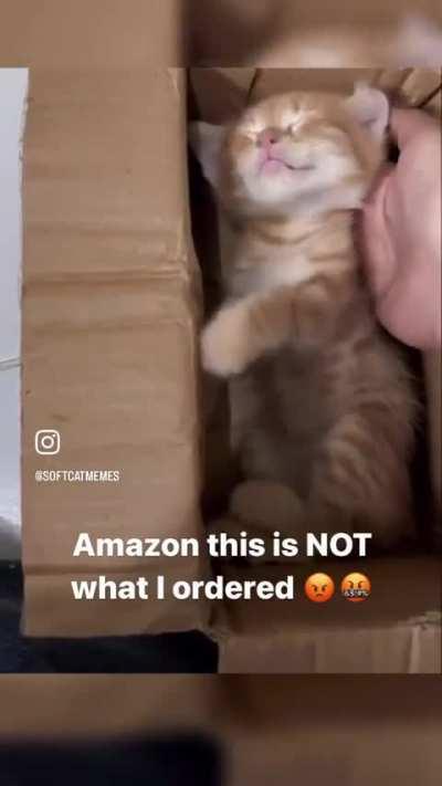 Wunkus WILL be returned and recieve 2 stars (they came well packaged)