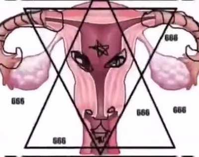 hey guys ignore the video what carti leak is this