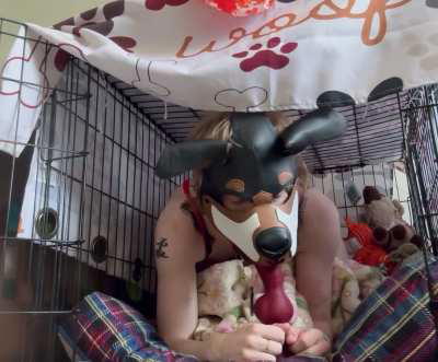 deepthroating him down to his sheath