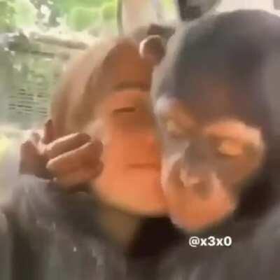 Los sueños de Orslok