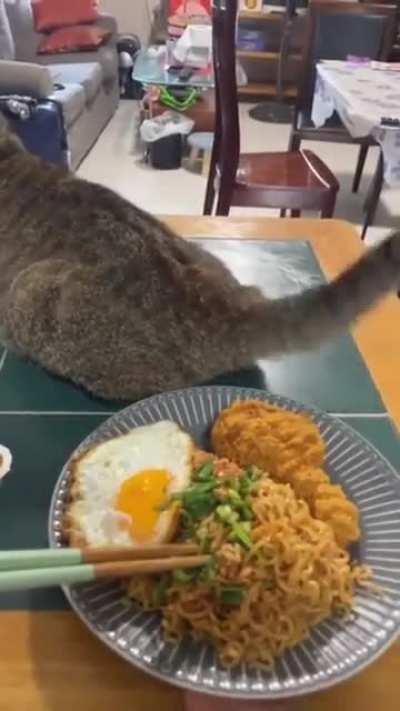 asshole rui s meal out of jealousy