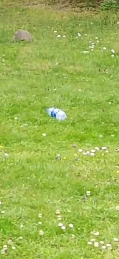 Dry ice bottle; a proven recipe for screa...