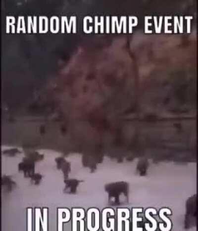 When the CDawgVA twitch notification comes in