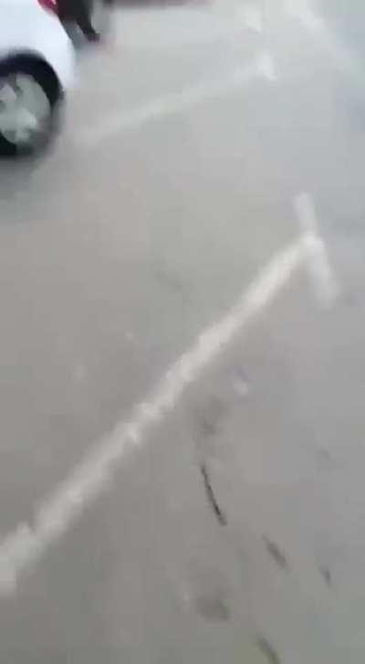 Electric scooter chose to kill itself with fire