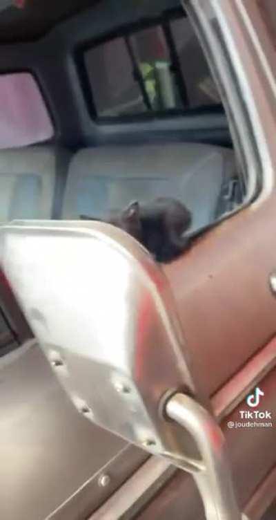 a tiny crackhead puffball appears