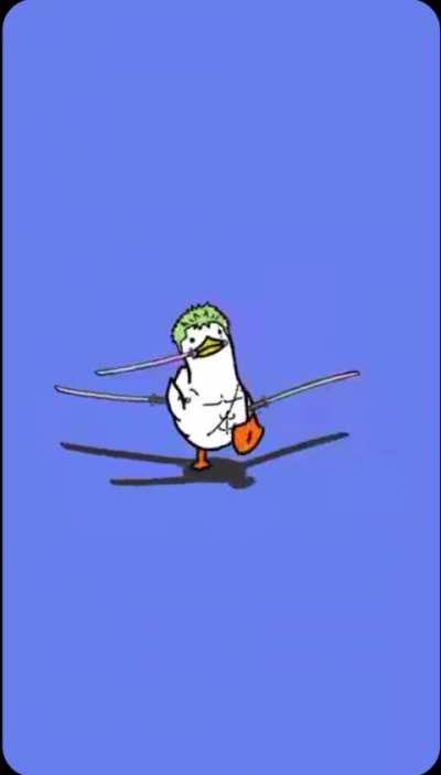 DUCKY ZORO❤️
