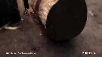 Monke have gun monke shoot