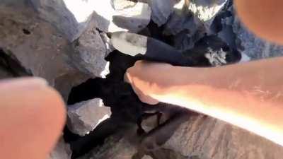 Turkish shepherd rescued his goat that stuck in rocks