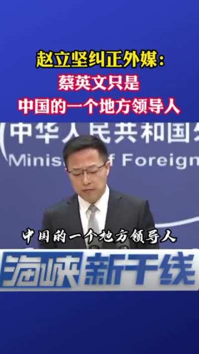 赵立坚：蔡英文只是中国的一个地方领导人