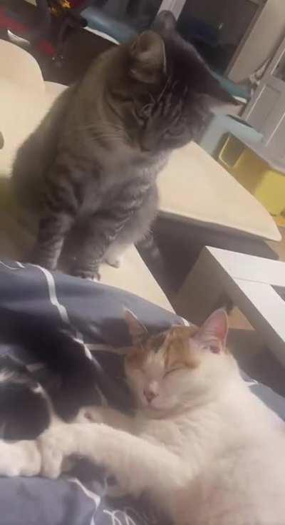 It's supposed to be a heartwarming video ...