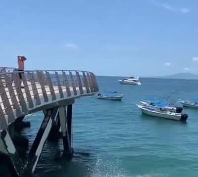 HMFT after I nail this gainer