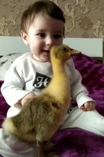 The cuteness 🥰🥰