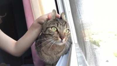 He astral projects himself to be with the pigeons outside