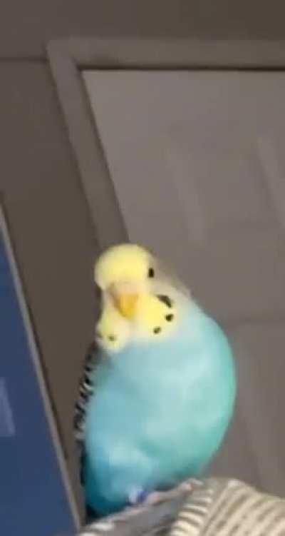 Every time I go on my phone …